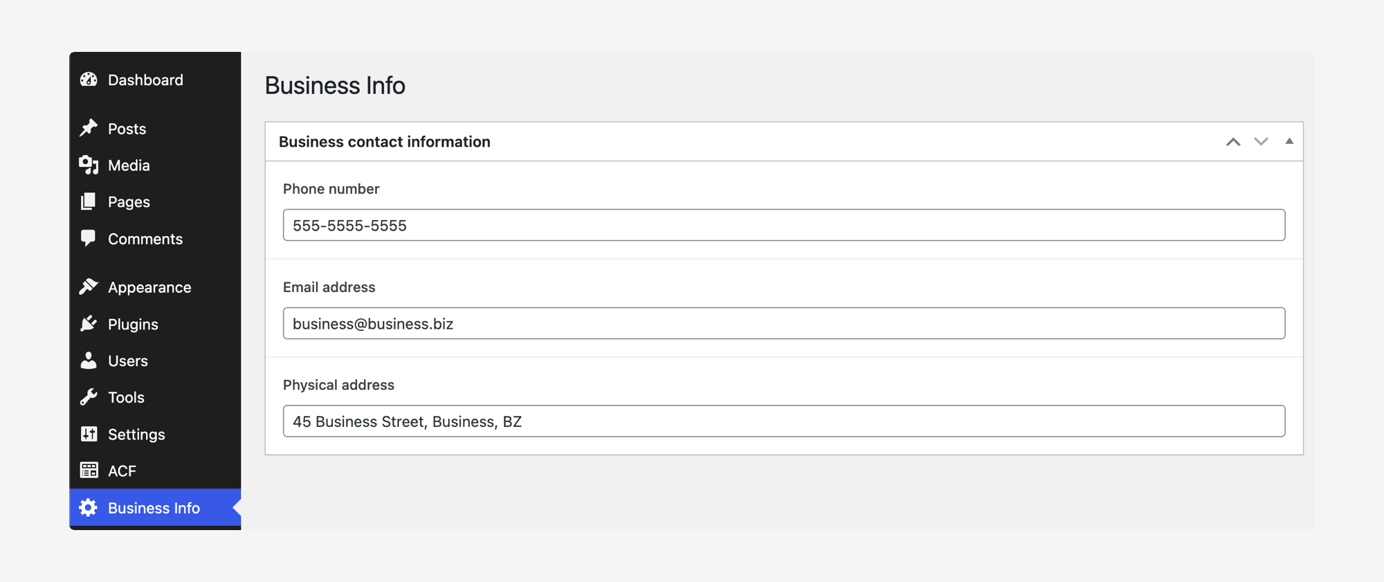 Viewing business information custom fields in an Options Page